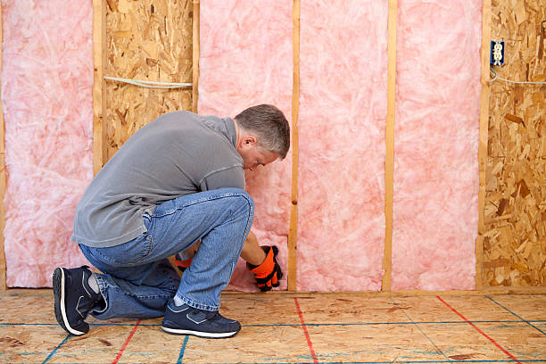 Best Geographic-Specific Insulation Services in West Clarkston Highland, WA
