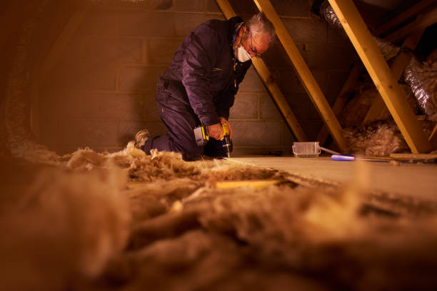 Best Blown-in Insulation in West Clarkston Highland, WA
